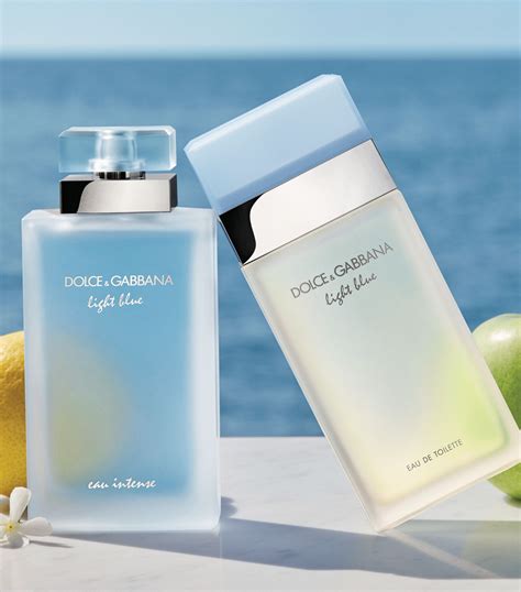 cheapest place to buy dolce gabbana light blue|More.